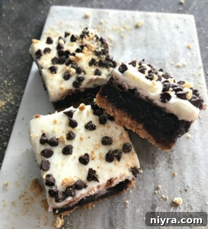 S'mores Brownies 9 S'mores Brownies, generously topped with marshmallow frosting, mini chocolate chips, and graham cracker crumbs, cut into perfect squares on a serving plate