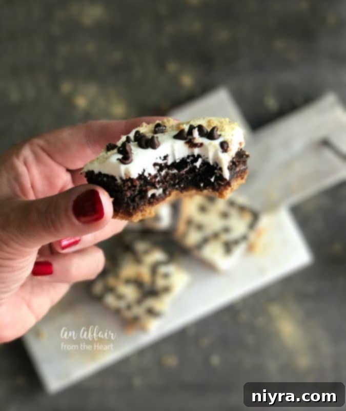 S'mores Brownies 4 Top-down view of freshly baked S'mores Brownies in a pan, before cutting