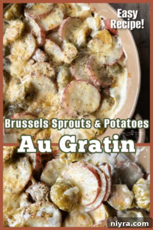 Brussels Sprouts and Potatoes Au Gratin dish served on a white plate