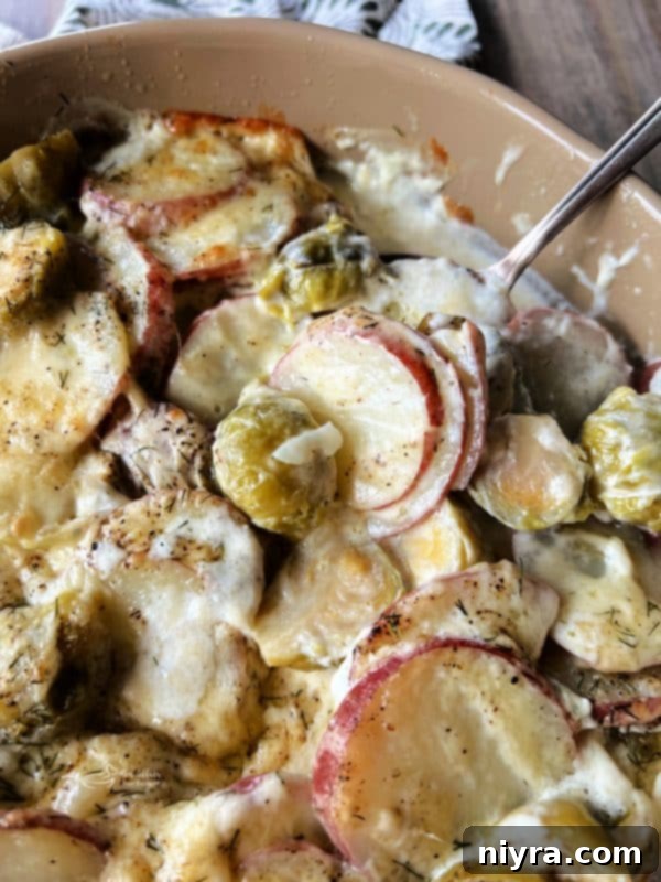 Brussels Sprouts and Potatoes Au Gratin being scooped from a baking dish