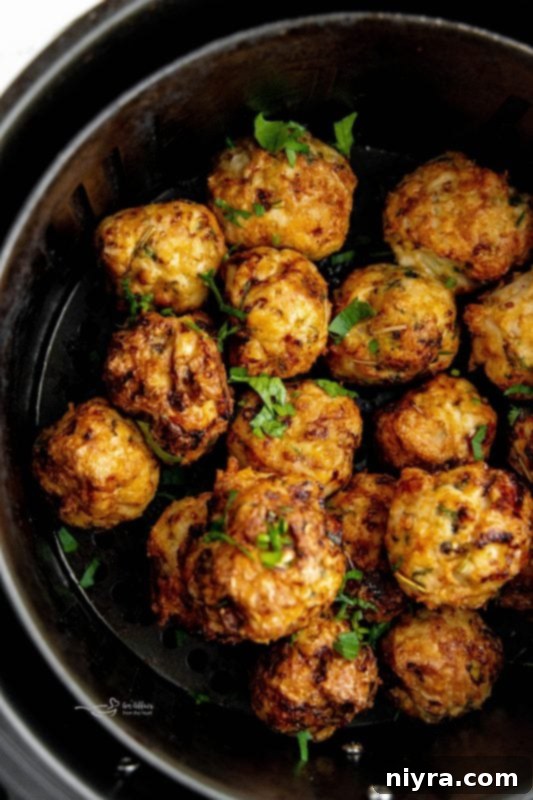Air Fryer Turkey Meatballs ready for serving