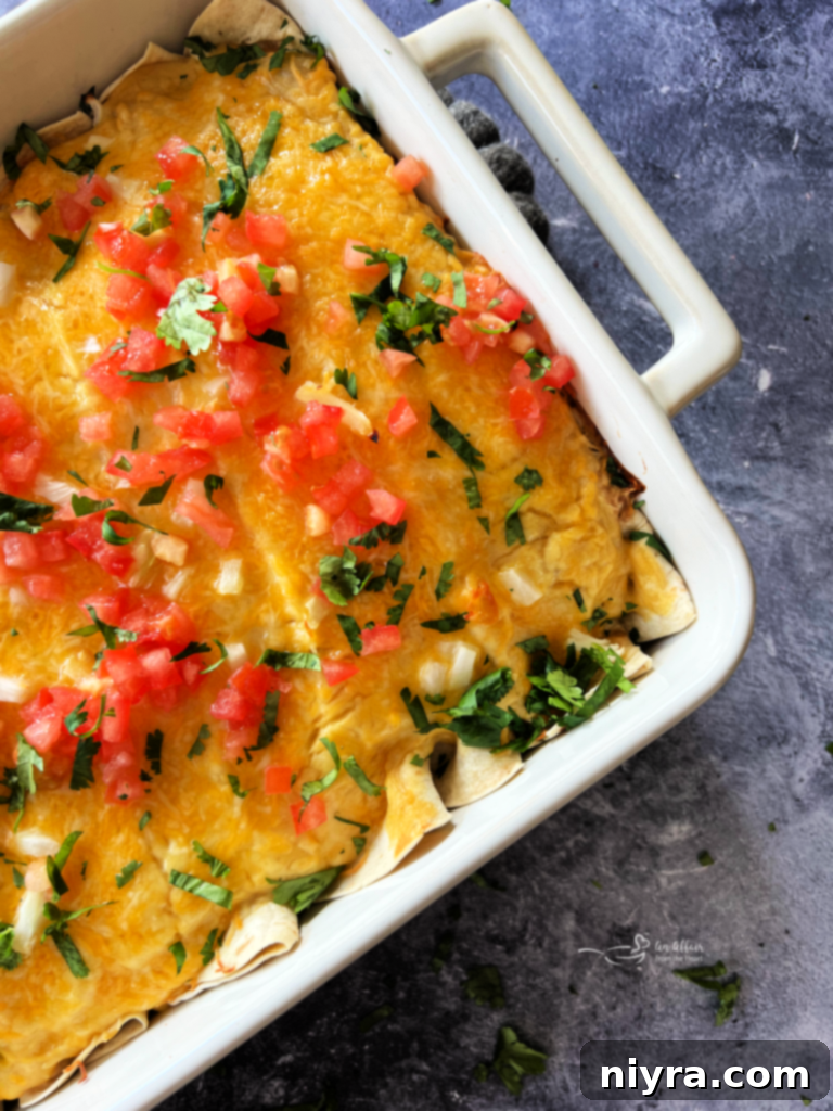 Baked Five Bean and Cheese Enchiladas, golden and bubbly from the oven.