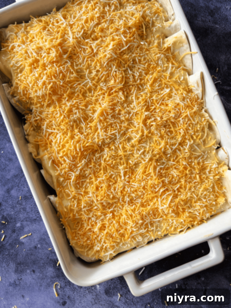 Rolled enchiladas placed seam-side down in a baking dish.