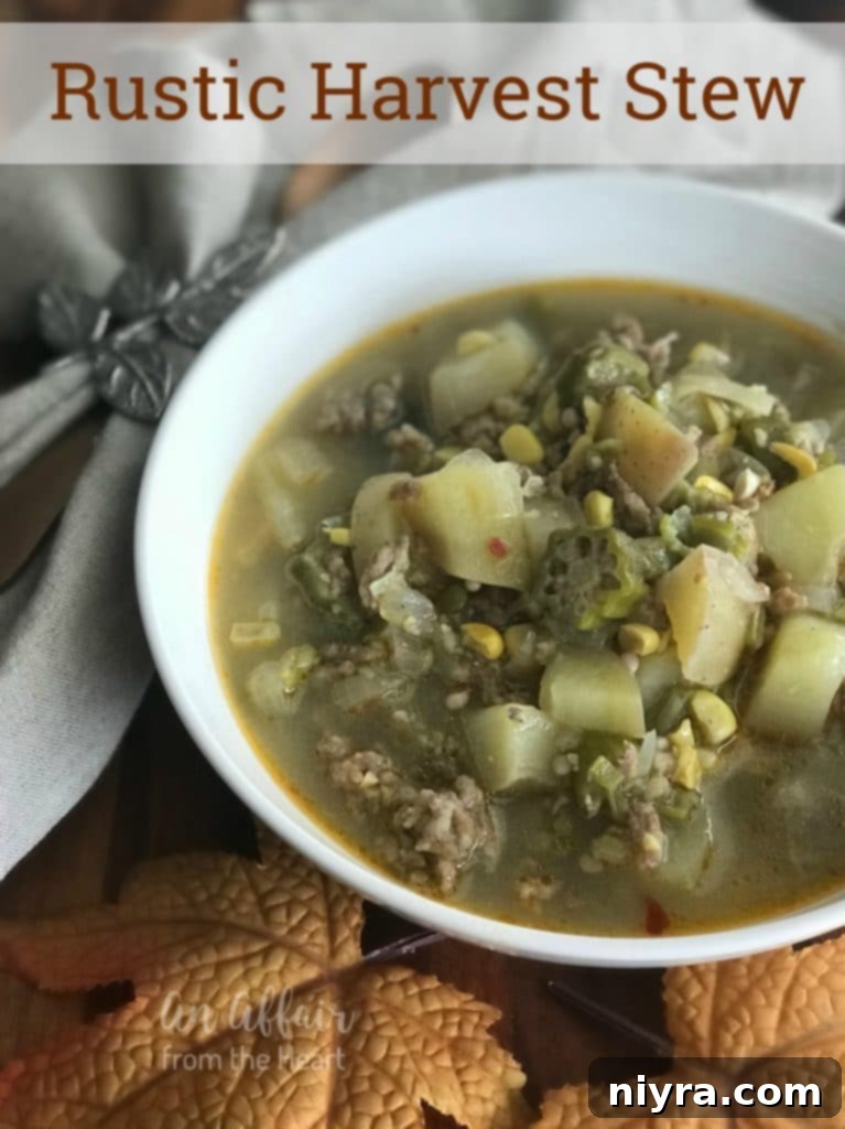 Rustic Harvest Stew hero shot