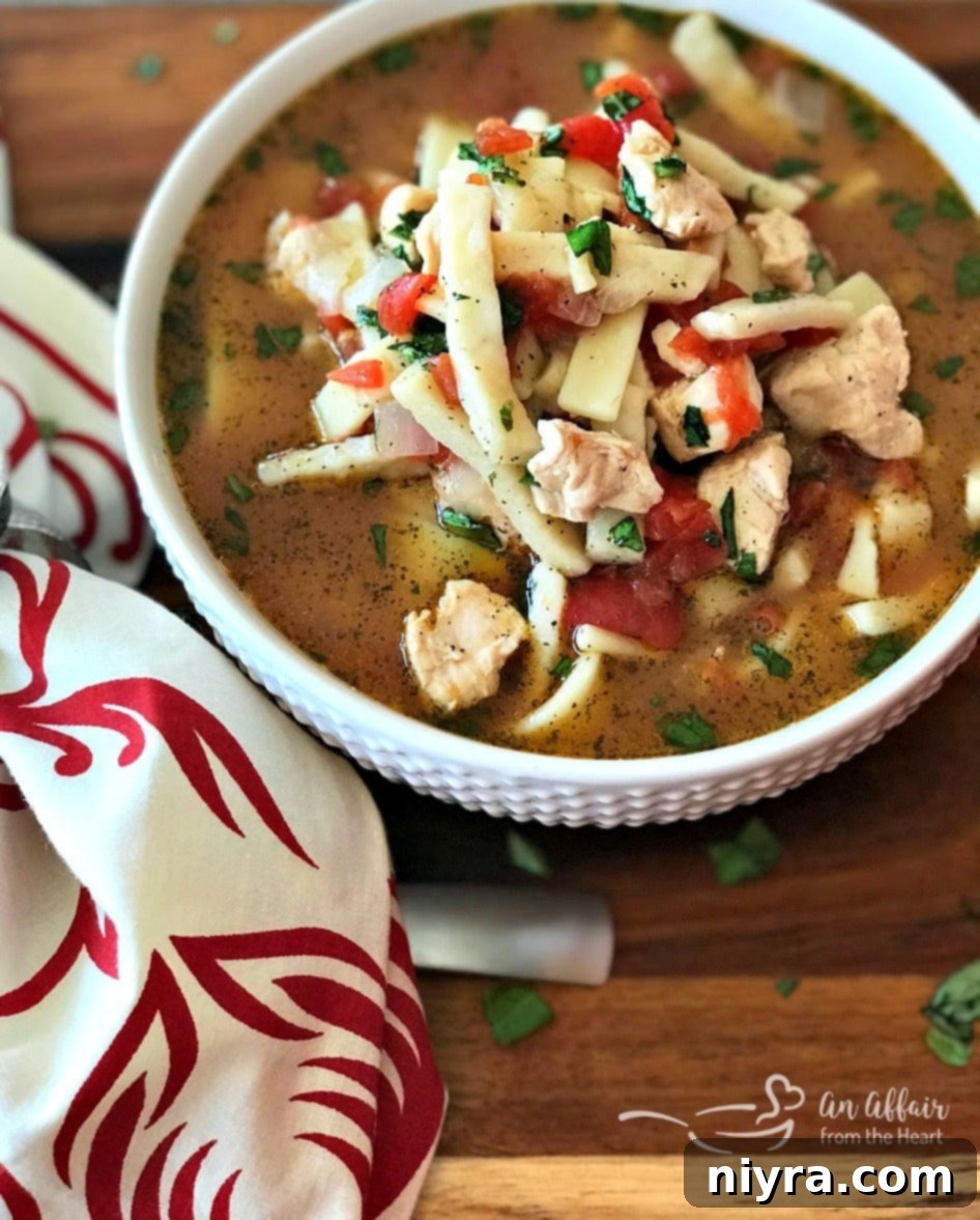 A steaming bowl of Italian Chicken Noodle Soup with fresh basil garnish.