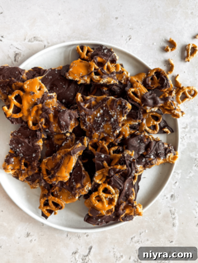 SALTED CARAMEL CHOCOLATE PRETZEL BARS STORY Poster Image