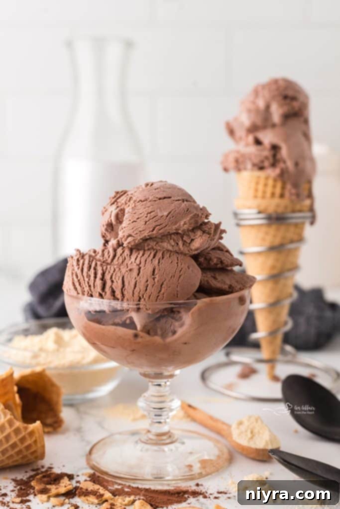 A scoop of rich chocolate malt ice cream in a bowl.