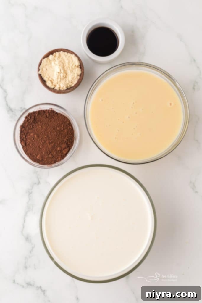 Chocolate malt ice cream in a white bowl with a spoon.