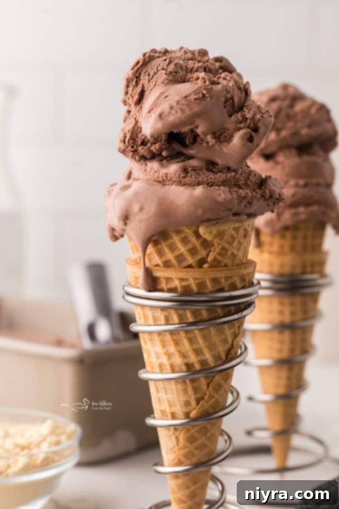 Close-up of chocolate malt ice cream melting slightly in a bowl.