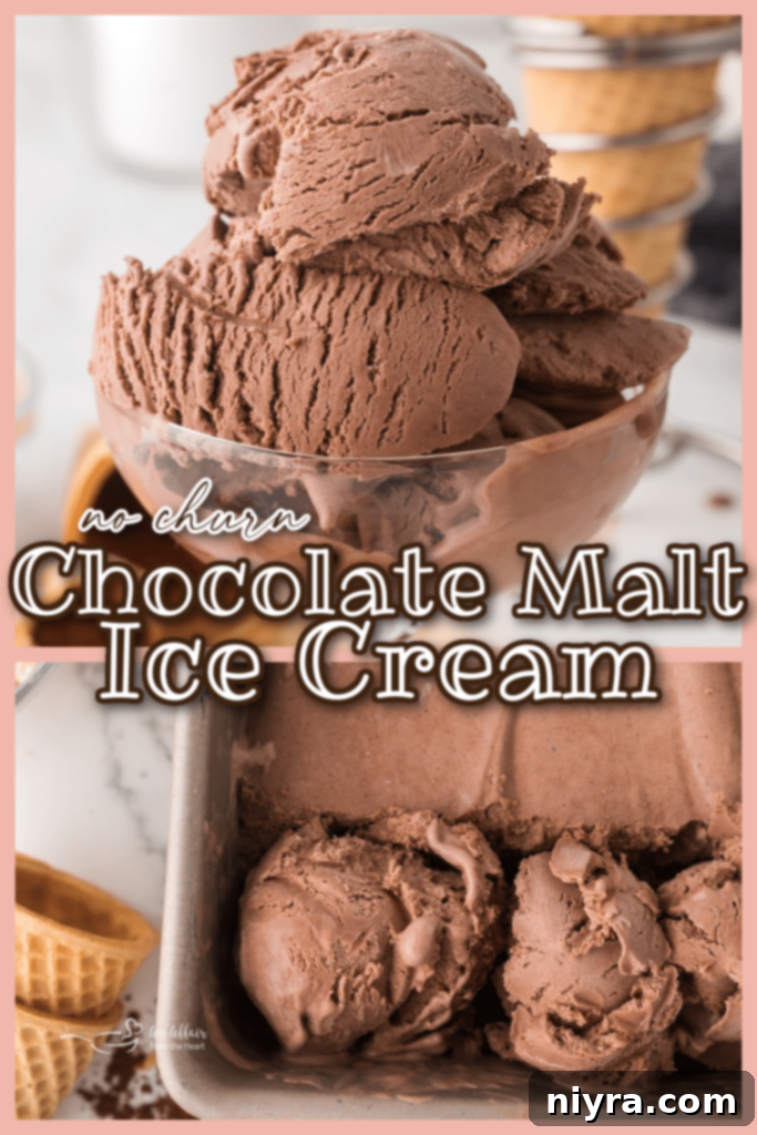 Chocolate malt ice cream in a cone.