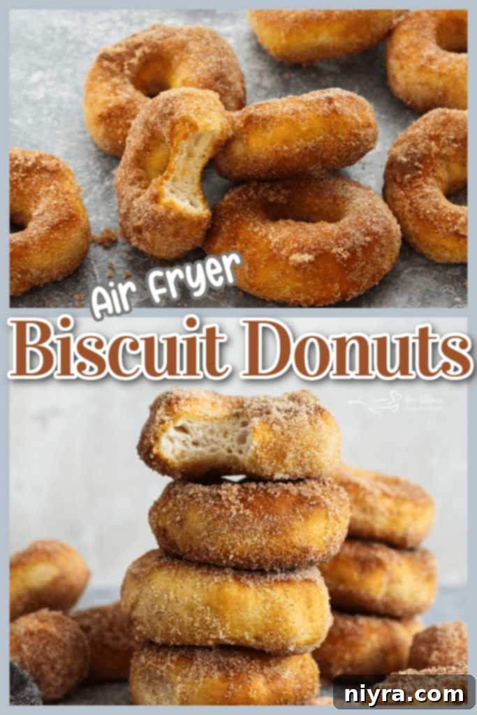 Easy Air Fryer Biscuit Donuts 12 Finished air fryer biscuit donuts with cinnamon sugar