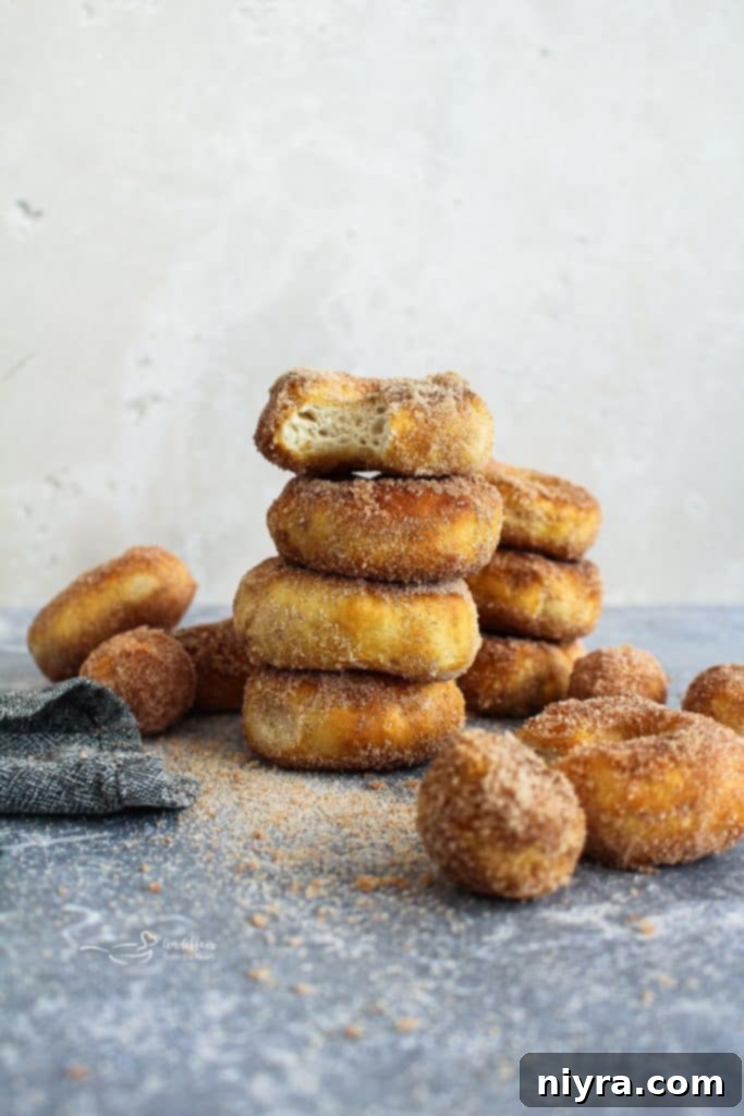 Easy Air Fryer Biscuit Donuts 13 Various glazes and toppings for air fryer biscuit donuts