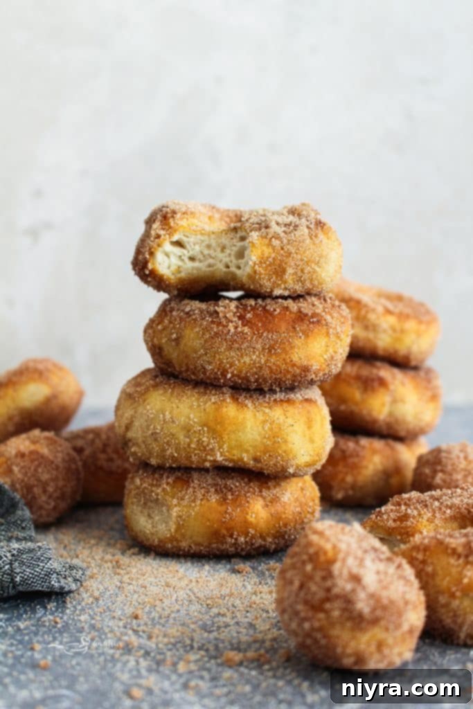 Easy Air Fryer Biscuit Donuts 3 Air fryer biscuit donuts coated in cinnamon sugar
