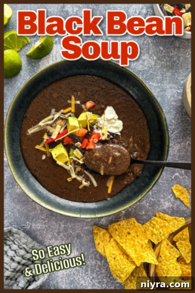 A beautifully plated bowl of black bean soup, ready to be enjoyed.