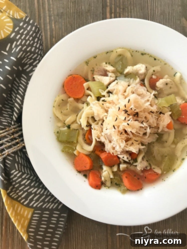 Chicken Noodle Soup with Sauerkraut, a comforting and healthy meal for cold and flu season.