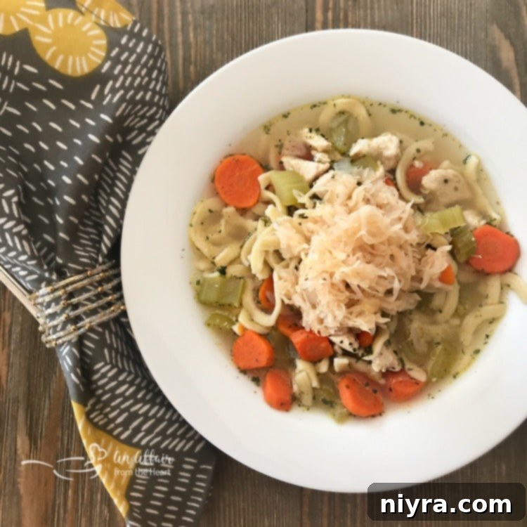 A steaming bowl of Chicken Noodle Soup with Sauerkraut, ready to be enjoyed.