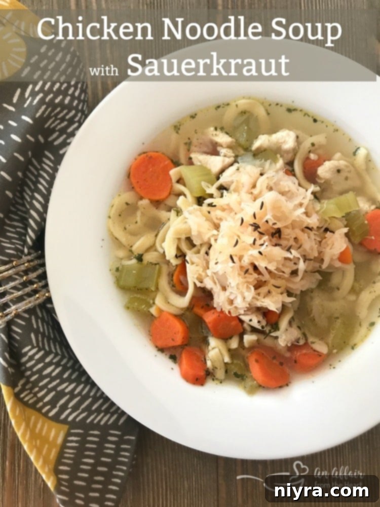 A beautifully presented bowl of Chicken Noodle Soup with Sauerkraut, garnished.