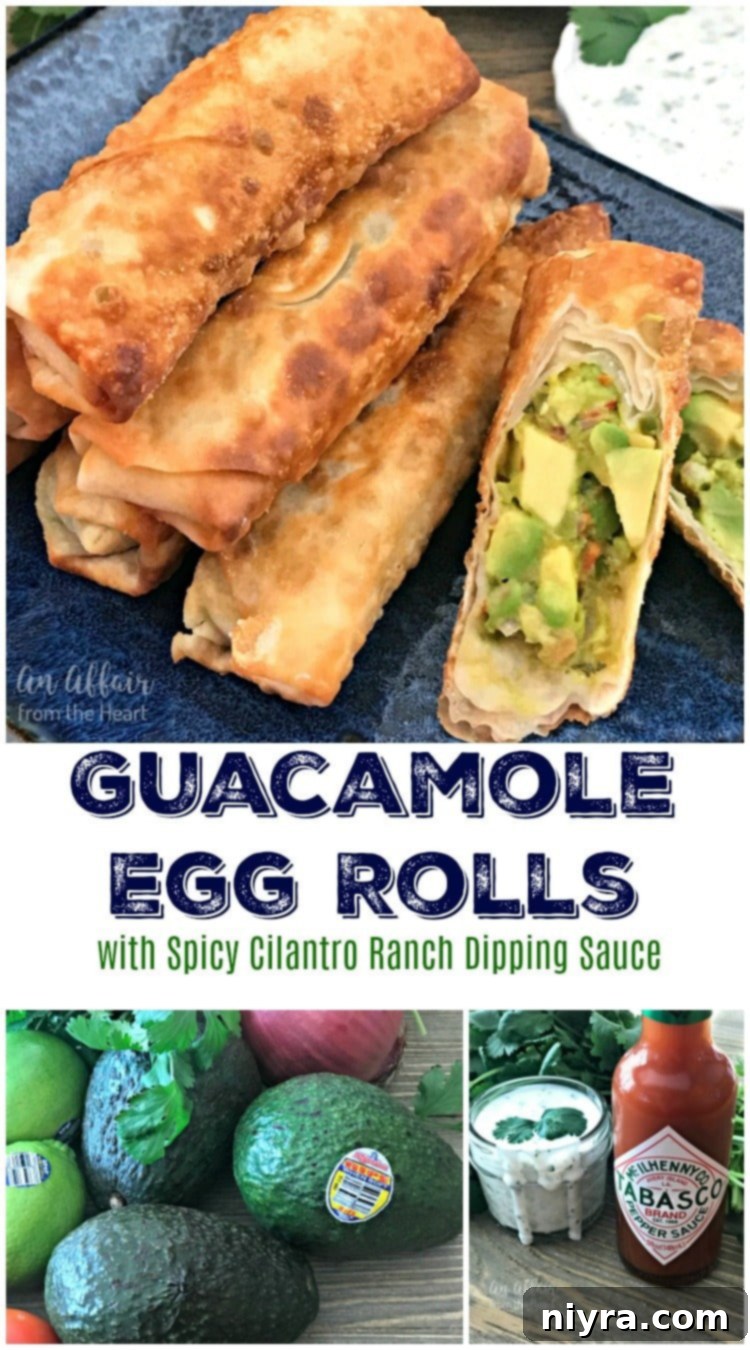 Guacamole Egg Rolls with Spicy Cilantro Ranch Dipping Sauce - An Affair from the Heart