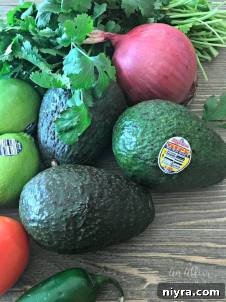 Guacamole Egg Rolls with Spicy Cilantro Ranch Dipping Sauce 