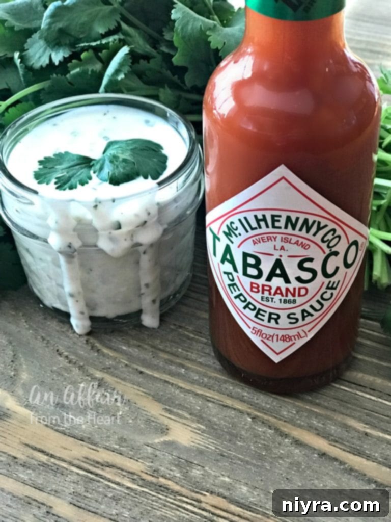 Spicy Cilantro Ranch Dipping Sauce