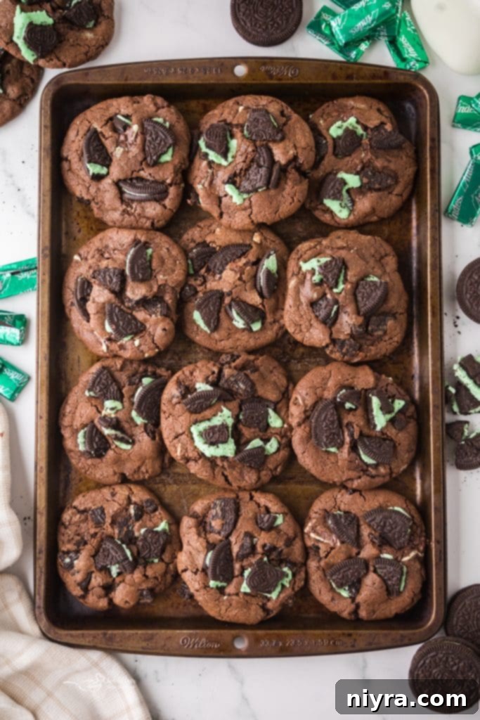 Chocolate Mint Oreo Cookies on a plate