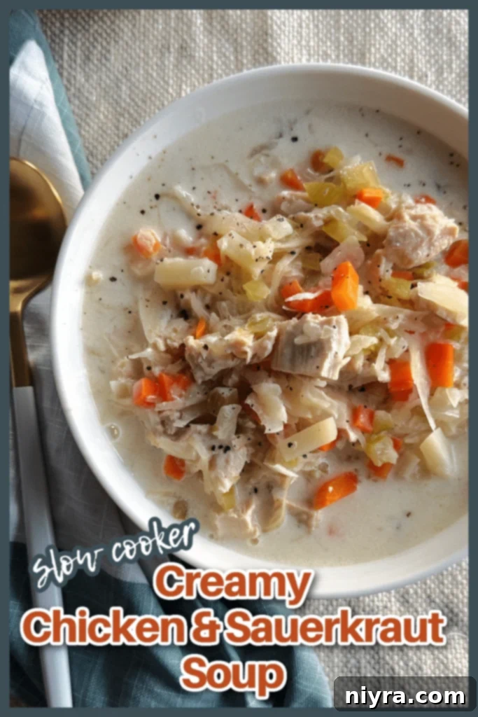 Slow Cooker Chicken and Sauerkraut Comfort Soup 16 Finished Slow Cooker Creamy Chicken and Sauerkraut Soup