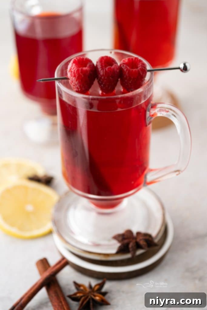 Raspberry Hot Toddy: A Soothing Cold Remedy 2 Raspberry Hot Toddy in a Mug
