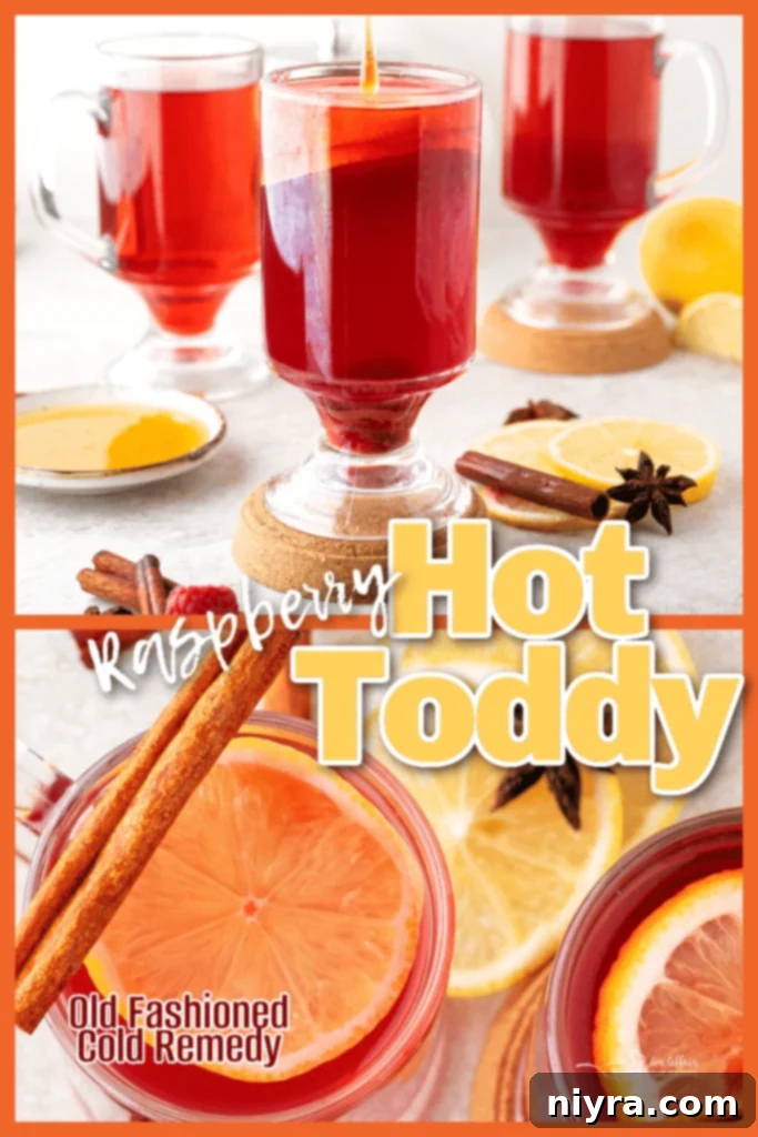 Raspberry Hot Toddy: A Soothing Cold Remedy 11 Raspberry Hot Toddy with Cinnamon Stick