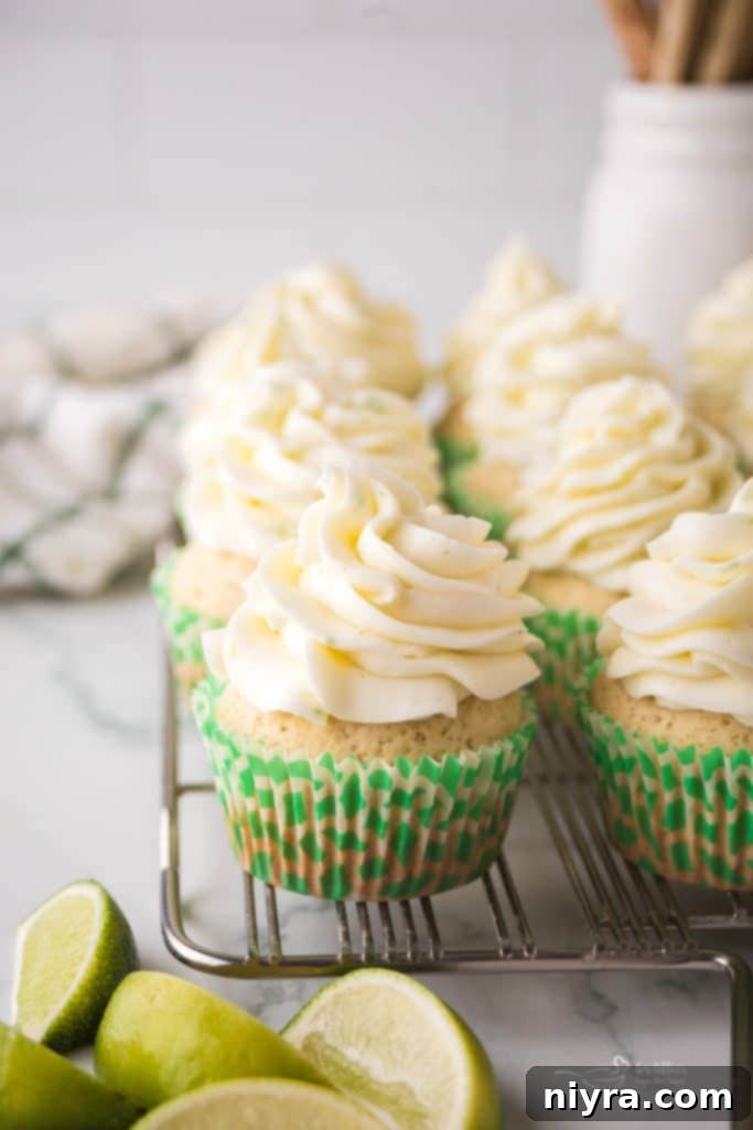 Lime Bliss Cupcakes 6 Key Lime Cupcakes Decorated with Graham Crackers