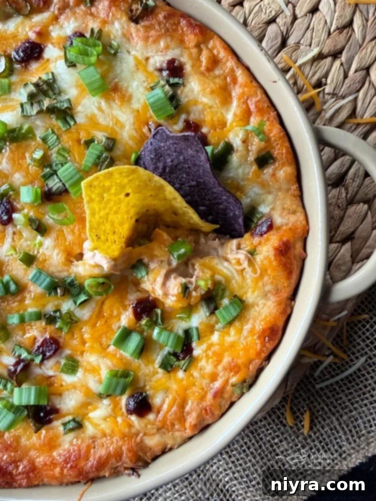 Scoop of BBQ Chicken & Kraut Dip